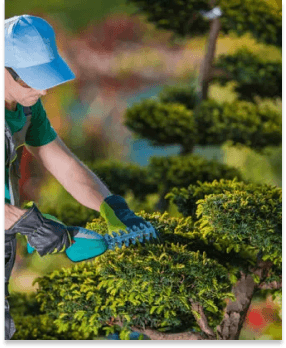 men gardener